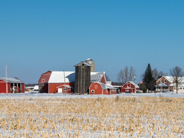 Le PIB suggère une hausse des revenus agricoles en 2025