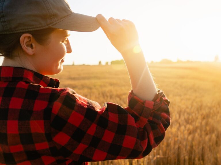 MMC devient Agrintel